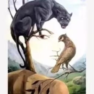 Tes Kepribadian: Gambar Perempuan atau Hewan yang Pertama Kali Kamu Lihat? Ini Artinya!