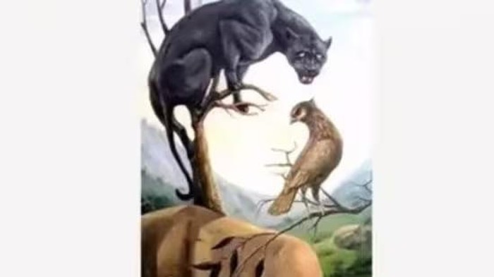 Tes Kepribadian: Gambar Perempuan atau Hewan yang Pertama Kali Kamu Lihat? Ini Artinya!