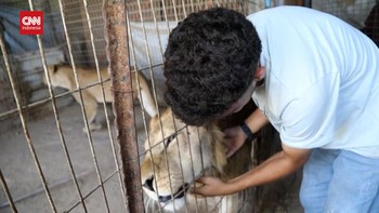 VIDEO: Nasib Malang Hewan dan Kebun Binatang Gaza Imbas Agresi Israel