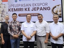 5 Ton Kemiri dari Bima Diekspor ke Jepang, Pertama Kali di 2025