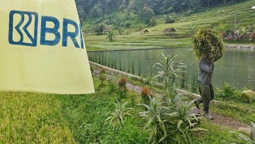 BRI Salurkan KUR Rp83,38 Triliun, Sektor Pertanian Jadi Motor Utama