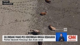 VIDEO: Gelombang Panas Picu Kekeringan hingga Kebakaran