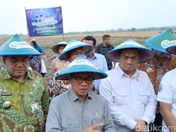 Wanti-wanti Mendes Yandri Supaya Bahan Baku MBG Jangan Impor