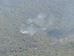 Situasi Terkini Karhutla di Riau: Hotspot Berkurang Drastis, Kini 33 Titik