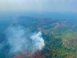 Potensi Karhutla di Riau Meningkat Tajam, Waspada hingga Awal Agustus!