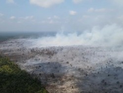 BPBD Catat 236,15 Hektare Lahan di Jambi Sudah Terbakar