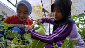 Hari Anak Nasional 2025, Pertamina Realisasikan 94 Program CID