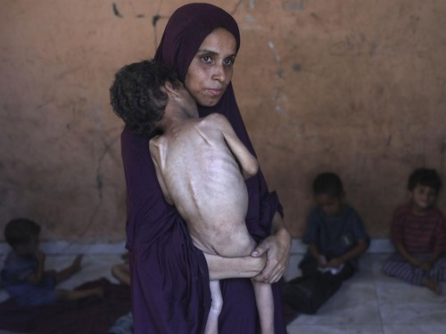 Bertambah Lagi Korban Tewas Akibat Kelaparan di Gaza