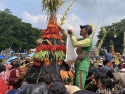 Rayakan Hari Jadi Wonosobo, Warga Antusias Berebut 15 Gunungan Hasil Bumi