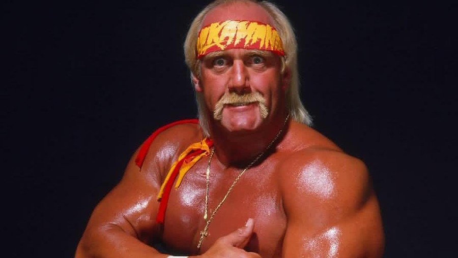 Hulk Hogan Hulk Hogan