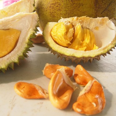 Tsunami Durian di Malaysia, Pedagang Bagikan Ratusan Kilogram Buah Gratis Setiap Hari