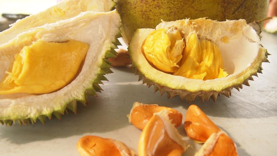 Tampilan buah Durian Musang Queen yang Tak Kalah Enak dari Musang King&period;