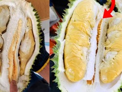Kembaran Musang King, Ini Durian Musang Queen yang Tak Kalah Enak