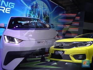 Duel BYD Atto 1 Rp 195 Juta Lawan Honda Brio, Pilih Mana? Duel BYD Atto 1 Rp 195 Juta Lawan Honda Brio, Pilih Mana?