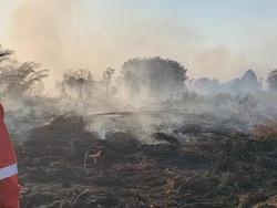 Perjuangan Srikandi Manggala Agni 10 Hari Padamkan Karhutla di Kampar