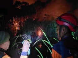 Puluhan Hektare Lahan di 3 Daerah Sumsel Terbakar, Masih Sisakan Asap