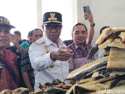 Wagub NTT Cari Data di TPI Kampung Ujung Jelang Bertemu DPR RI