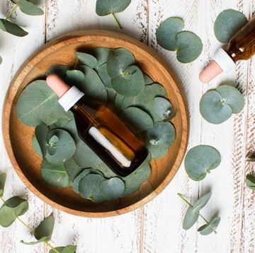 Mengenal Tanaman Herbal Korea Cynanchum atratum dan Manfaatnya untuk Kulit Wajah