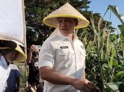 Irwil III Itwasum Polri Tinjau Lahan Jagung Binaan Polres Jeneponto