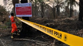 KLH Segel 4 Perusahaan dan Tutup 1 Pabrik Terkait Karhutla di Riau