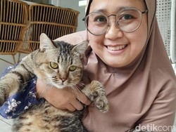 Kisah Dua Perempuan Buka Pet Sitter, Hobi Main Hewan Bisa Raup Rp 5 Juta/Bulan