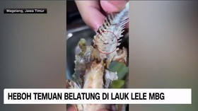 VIDEO: Heboh Temuan Belatung di Lauk MBG