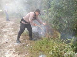 Kesigapan Polisi dan Damkar Padamkan Ilalang di Pekanbaru Riau