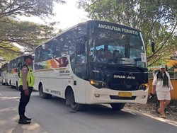 200 Turis Asing Nikmati Adat Amarasi di Istana Baun Kupang
