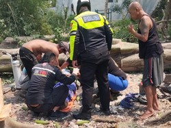 Tolip Tewas Tertimpa Pohon Randu yang Ditebangnya di Kota Mojokerto