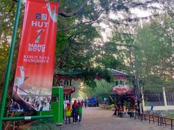 Kebun Raya Mangrove Surabaya Rayakan 74 Jenis Koleksi di Usia 2 Tahun