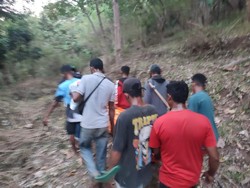 Sepekan Hilang Saat Cari Kayu Bakar, Nenek di Sikka Ditemukan Tewas di Hutan