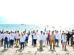 Rembuk Pemuda Sulteng Tanam 70.000 Mangrove di Pesisir Teluk Palu