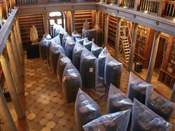 Serangga Jadi Musuh Utama Perpustakaan Tertua di Hungaria, Kenapa?