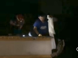 Kera Peliharaan Warga Bogor Kelilit Kabel Listrik saat Hujan, Damkar Evakuasi