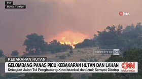 VIDEO: Gelombang Panas Picu Kebakaran Hutan dan Lahan di Turkiye