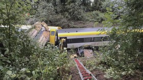 Kereta Tergelincir di Hutan Jerman, 3 Orang Tewas