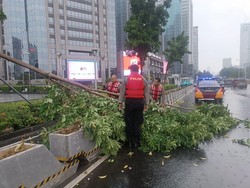 Pohon Tumbang di Jalan Sudirman Jaksel Imbas Hujan Deras, Sempat Tutup Jalan