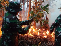 3 Hektare Lahan di Rohul Terbakar, TNI-Warga Berjibaku Padamkan Api