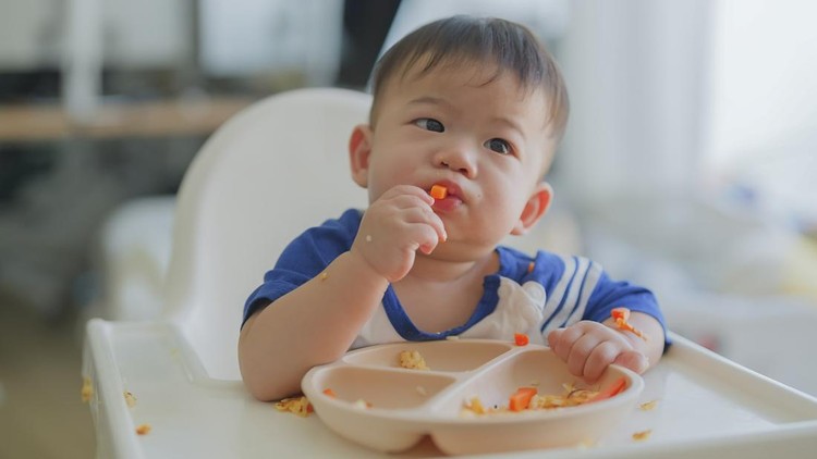 Seperti Apa Makanan Padat Bayi? Kenali Pilihan Terbaiknya