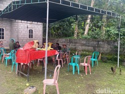 Keluarga Ungkap Pria Tewas Diserang Ayam Aduan Gantungkan Hidup dari Tajen