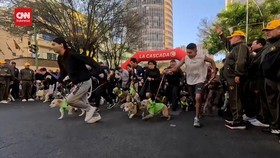 VIDEO: Momen Ratusan Anjing dan Pemiliknya Balap Lari di Bolivia