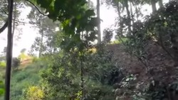 Hindari Pungli, Turis Wanita Pilih Lewati Jalur Terjal di Bukit Paniisan