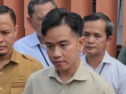 Wapres Gibran Apresiasi Gakkum Karhutla Polda Riau: 51 Sudah Ditangkap