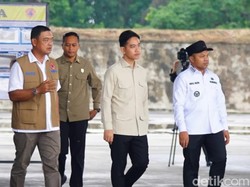 Wapres Gibran Ungkap Karhutla di Riau Terkendali, Puji Kerja Gubernur Cs