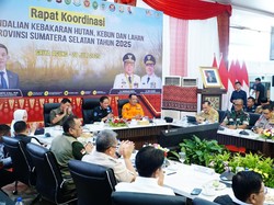 Cik Ujang Tekankan Sinergi Antarinstansi Tangani Karhutla di Sumsel