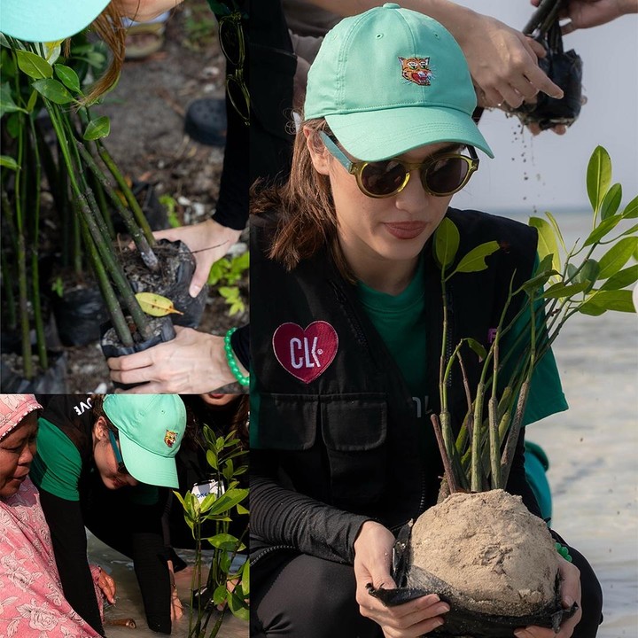 <p>Melalui unggahannya, Cinta mengungkap perasaannya ikut aksi menanam mangrove. Ia berharap aksinya ini bisa membantu menyelamatkan lingkungan. "Pengalaman nanam mangrove kali ini bikin ‘adem’ sekaligus ‘panas’. ‘Adem’ karena bisa ikut nanam harapan. ‘Panas’ karena realita Pulau Pari yang butuh bantuan segera dari reklamasi dan abrasi (plus ini literally ‘panas’ juga)! Semoga bibit ini jadi awal ‘healing’ buat menyelamatkan pulau Pari!" tulisnya. (Foto: Instagram @claurakiehl)</p>