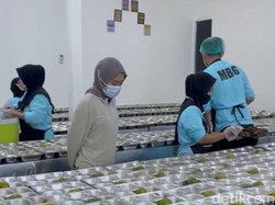 Dapur Baru Beroperasi di Pontianak Barat, 3 Ribu Pelajar Dapat MBG Tiap Hari