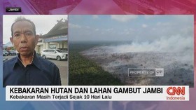 VIDEO: Kebakaran Hutan dan Lahan Gambut Jambi