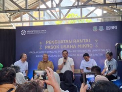 Banyak Orang Pesimistis dengan MBG, Menteri UMKM Bilang Begini