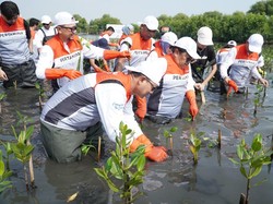 Tumbuhkan Cinta Lingkungan, Pertamina Ajak Siswa SD Tanam Mangrove